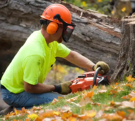 tree services Dunlap